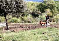 EXCURSION-NAVACERRADA-2024-89