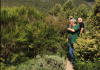 EXCURSION-NAVACERRADA-2024-90