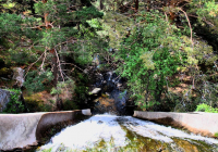 EXCURSION-NAVACERRADA-2024-93