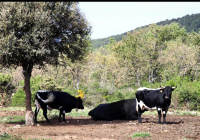 EXCURSION-NAVACERRADA-2024-96