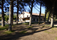 EXTERIOR-DE-NAVACERRADA-2024-1