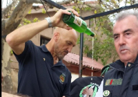 EXTERIOR-DE-NAVACERRADA-2024-115