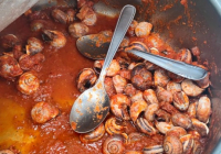 EXTERIOR-DE-NAVACERRADA-2024-24