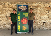 FOTOCOL-NAVACERRADA-2024-1