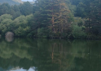 PAISAJES-NAVACERRADA-2024-12