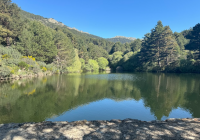 PAISAJES-NAVACERRADA-2024-14