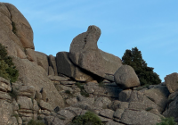 PAISAJES-NAVACERRADA-2024-18