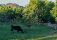 PAISAJES-NAVACERRADA-2024-19