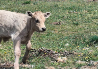 PAISAJES-NAVACERRADA-2024-21