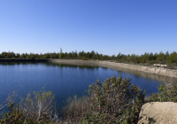 PAISAJES-NAVACERRADA-2024-6