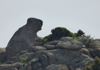 PAISAJES-NAVACERRADA-2024-7