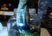 1_COE-21-EL-PADUL-2017-2_XHM3X9