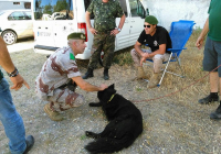 COE-21-EL-PADUL-2017-63