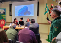 RemasterDirector_1a5c03258