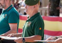 DIA-DEL-VETERANO-2024-26