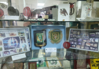 DIA-DEL-VETERANO-2024-56